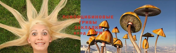 марки lsd Заводоуковск