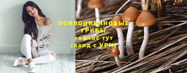 МДПВ Заволжье