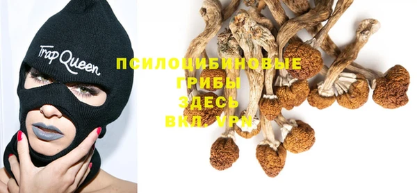 марки lsd Заводоуковск