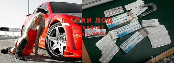 МДПВ Заволжье